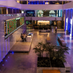 SKN | מדד IBOVESPA מזנק לעבר טריטוריית שיאים כאשר מניות ברזיל ממשיכות במומנטום של risk-on